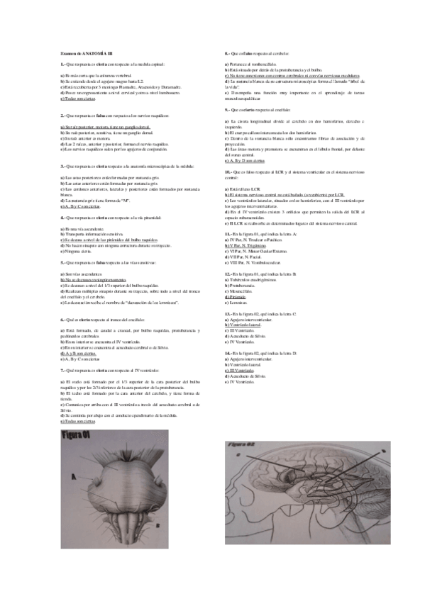 Miniatura del documento examen-de-anatomia.pdf