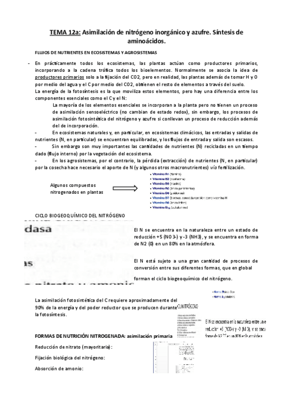 Miniatura del documento VegetalTEMA-12-13.pdf