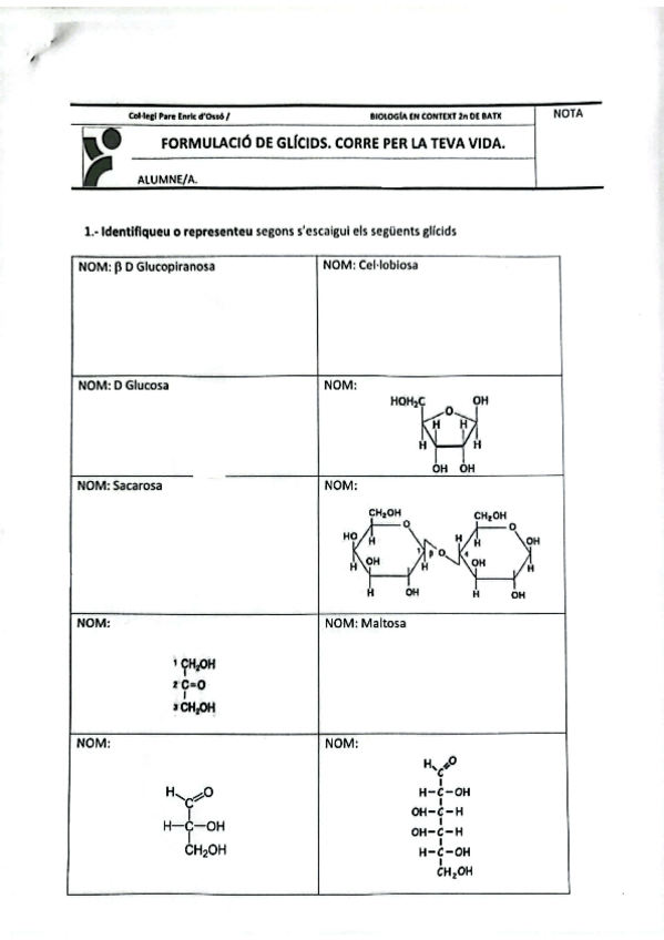 Miniatura del documento Formulación Glucidos.pdf