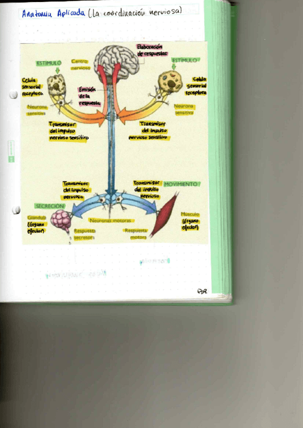 Miniatura del documento P5.pdf