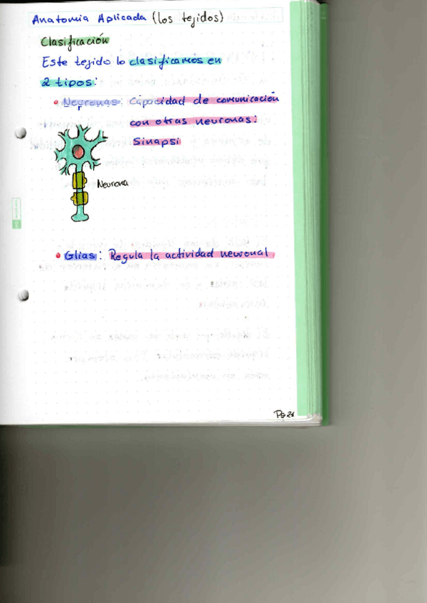 Miniatura del documento P8.pdf