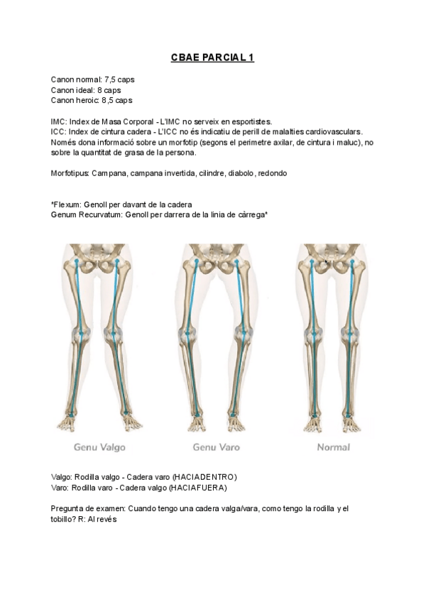 Miniatura del documento APUNTES-PARCIAL-1.pdf
