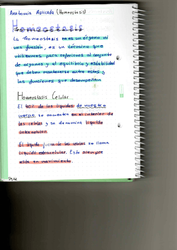 Miniatura del documento P1.pdf