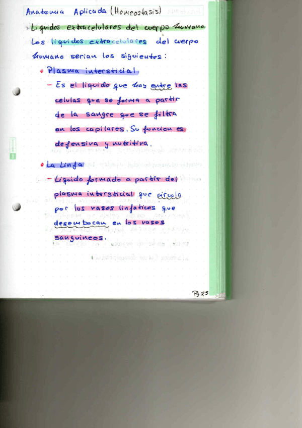 Miniatura del documento P2.pdf