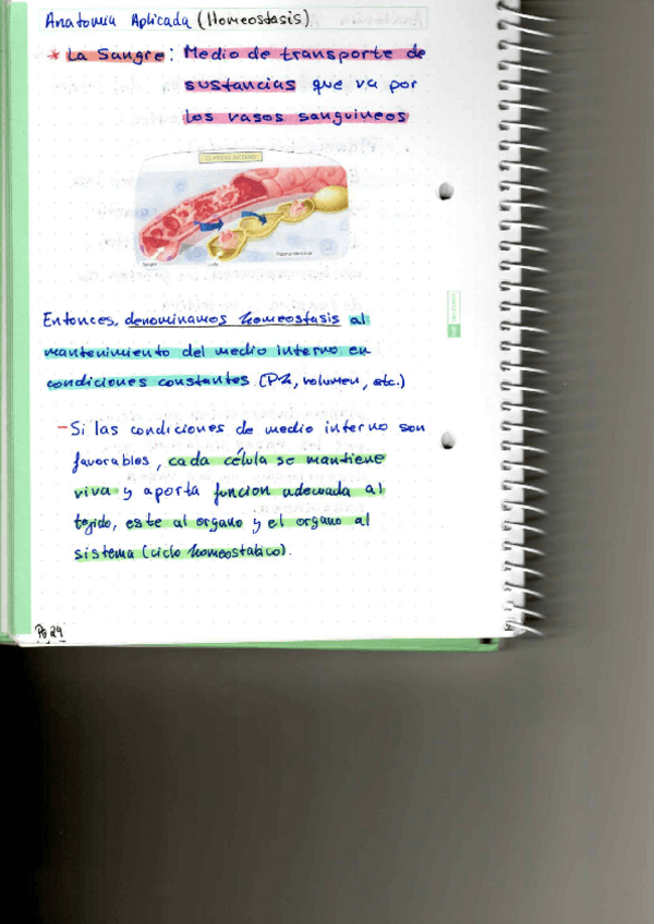 Miniatura del documento P3.pdf