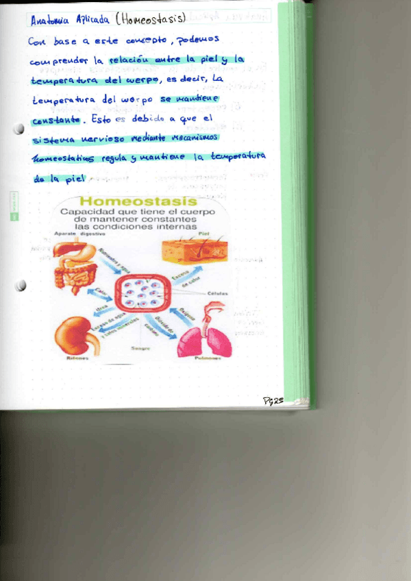 Miniatura del documento P4.pdf