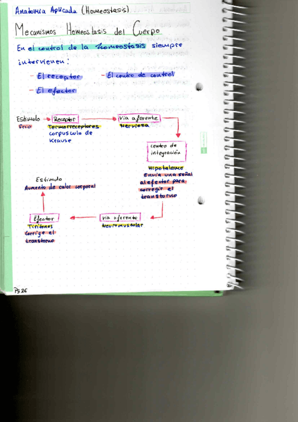 Miniatura del documento P5.pdf