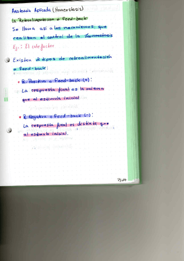 Miniatura del documento P6.pdf