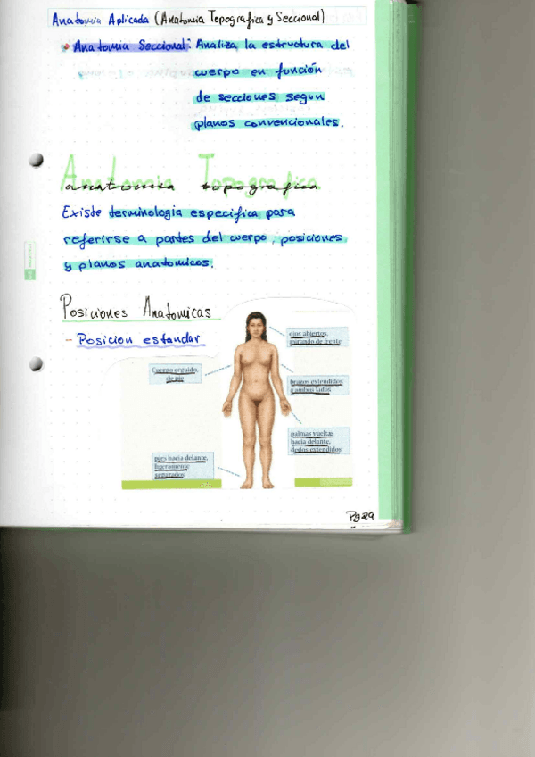 Miniatura del documento P2.pdf