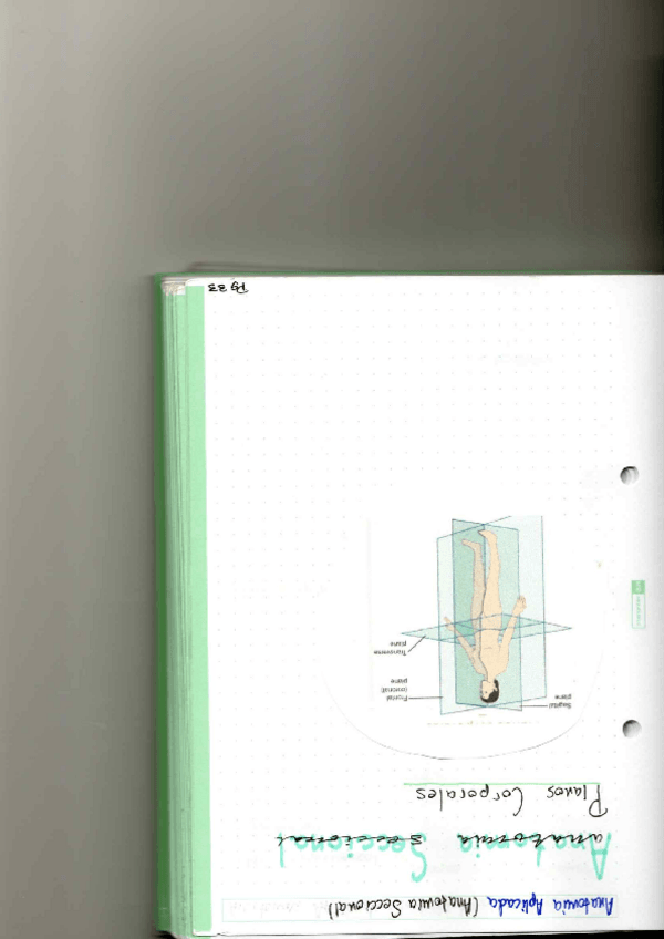 Miniatura del documento P6.pdf