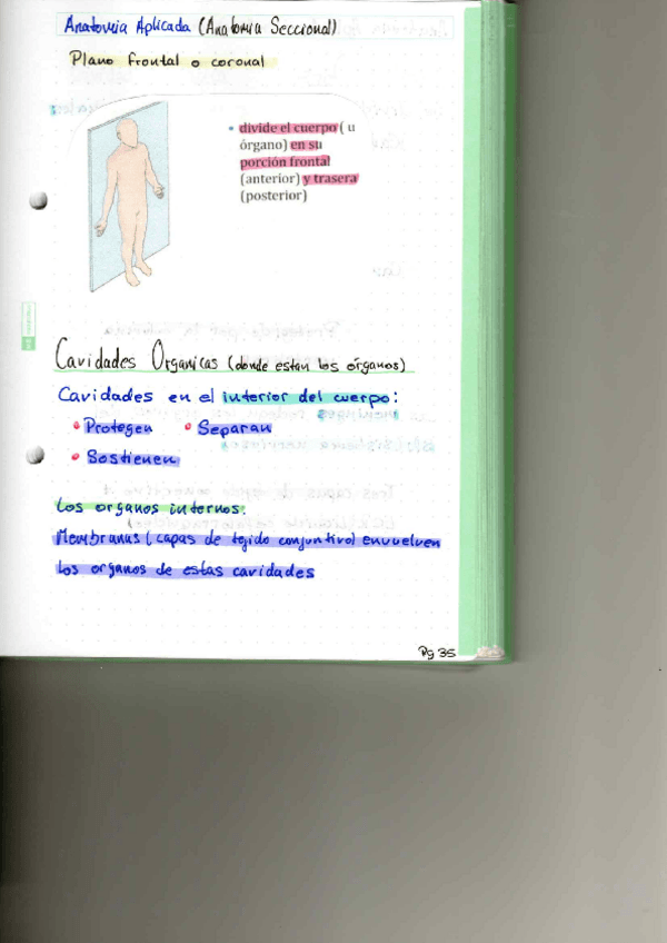 Miniatura del documento P8.pdf