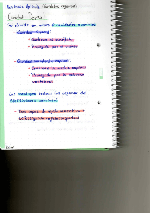 Miniatura del documento P9.pdf