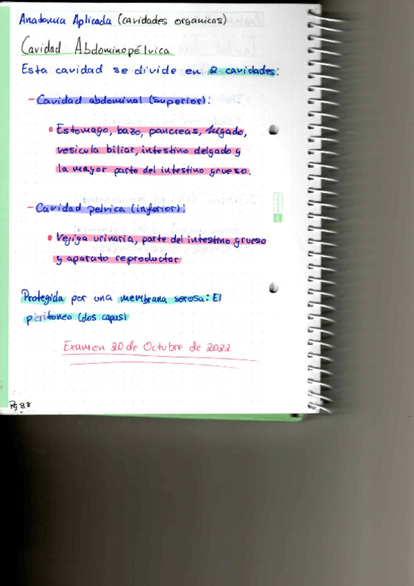 Miniatura del documento P11.pdf