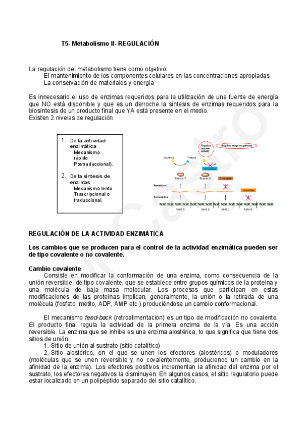 Miniatura del documento TEMA-6.pdf