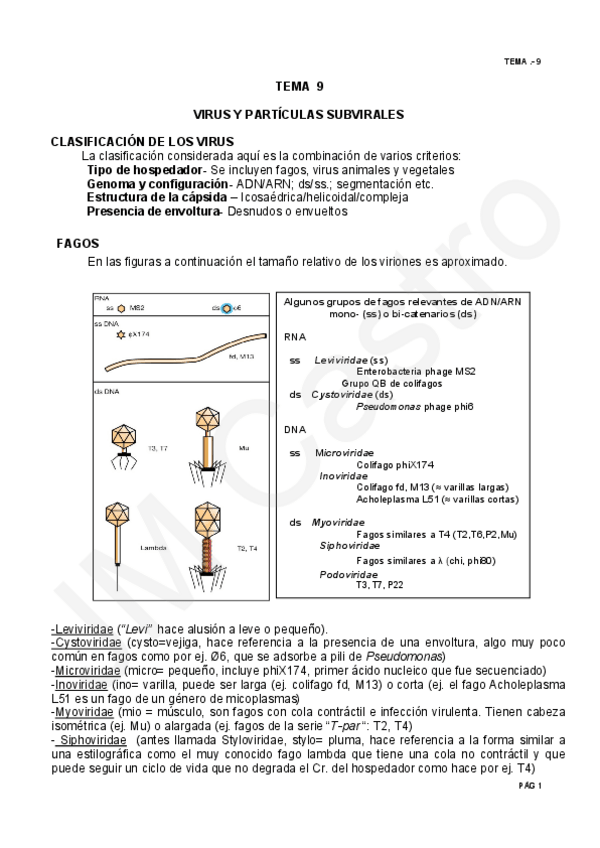 Miniatura del documento TEMA-11.pdf