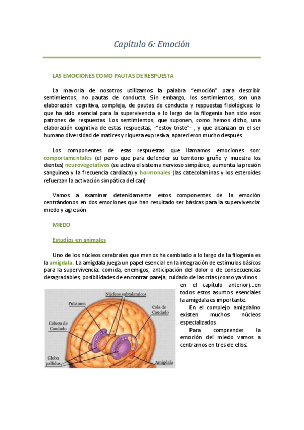 Miniatura del documento Tema 6. Emoción.pdf