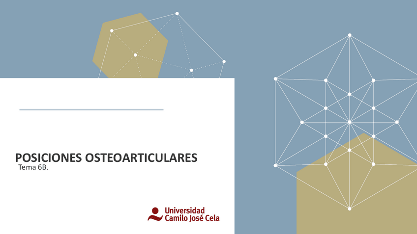 Miniatura del documento Posiciones-osteoarticularesv-T.6B.pdf
