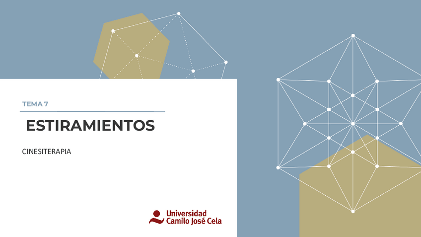 Miniatura del documento Tema-7-Estiramientos.pdf