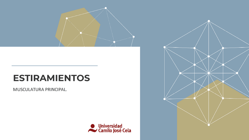 Miniatura del documento Estiramientos-practicas.pdf