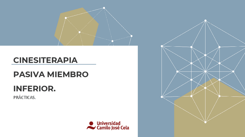 Miniatura del documento Pasiva-MMII.pdf