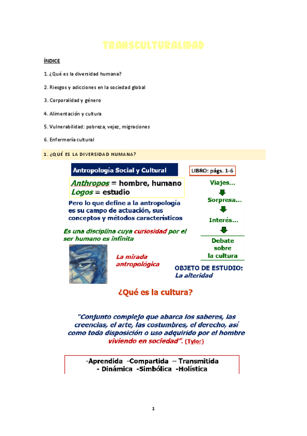 Miniatura del documento TRANSCULTURALIDAD.pdf