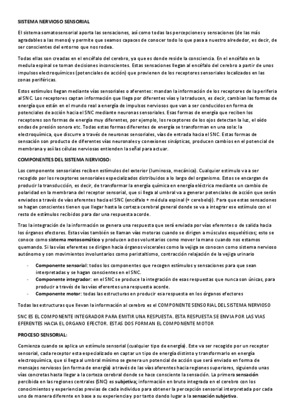 Miniatura del documento SISTEMA-NERVIOSO-SENSORIAL.pdf