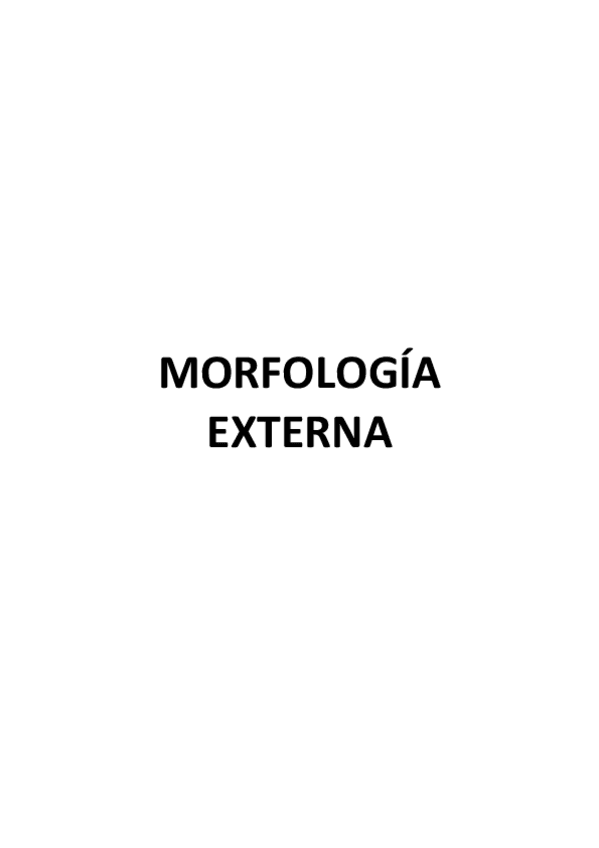 Miniatura del documento MORFOLOGIA-EXTERNA apuntes y preguntas examen.pdf