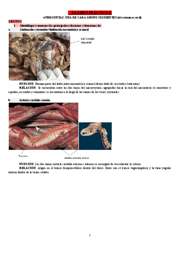 Miniatura del documento GRUPO-1.pdf