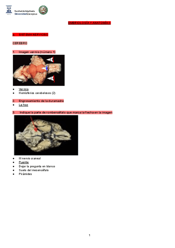 Miniatura del documento QUINIELAS-LA-CREW.pdf