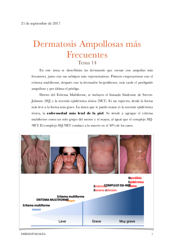 Miniatura del documento Tema 14.pdf