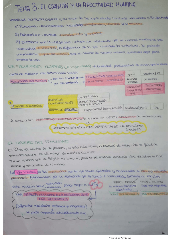 Miniatura del documento tema-3-antropologia.pdf