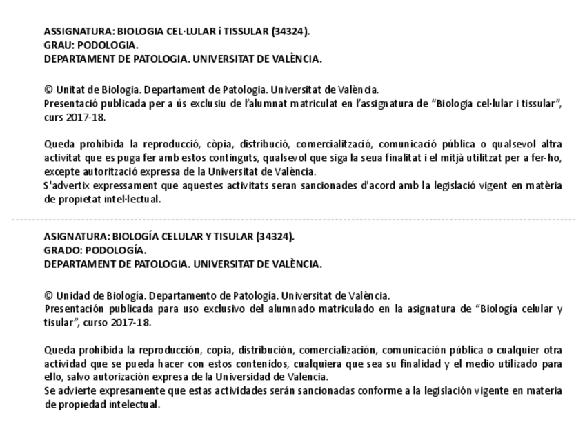 Miniatura del documento tema-11.pdf