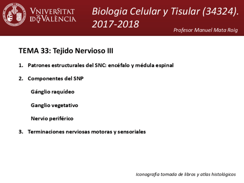 Miniatura del documento tema-33.pdf