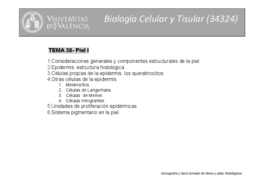 Miniatura del documento tema-37.pdf