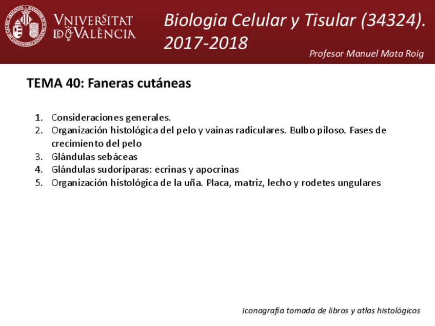 Miniatura del documento tema-39.pdf