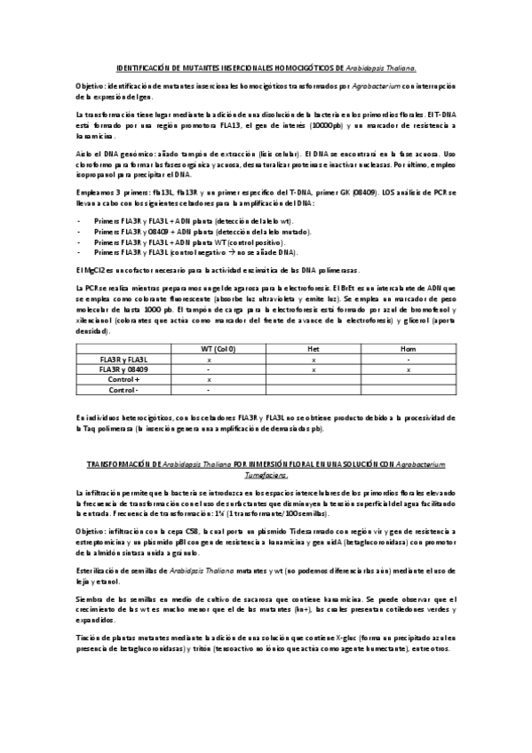 Miniatura del documento EPD-biotec-vegetal.pdf