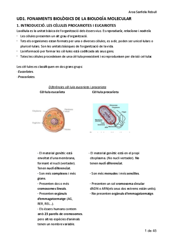 Miniatura del documento UD1-BIOLOGIA-MOLECULAR-Y-CITOGENETICA.pdf