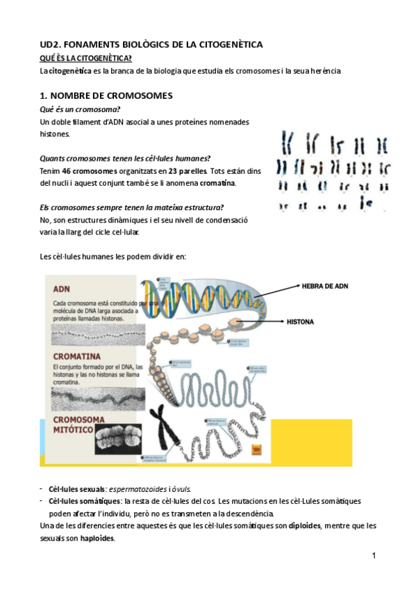 Miniatura del documento UD-2-BIOLOGIA-MOLECULAR.pdf