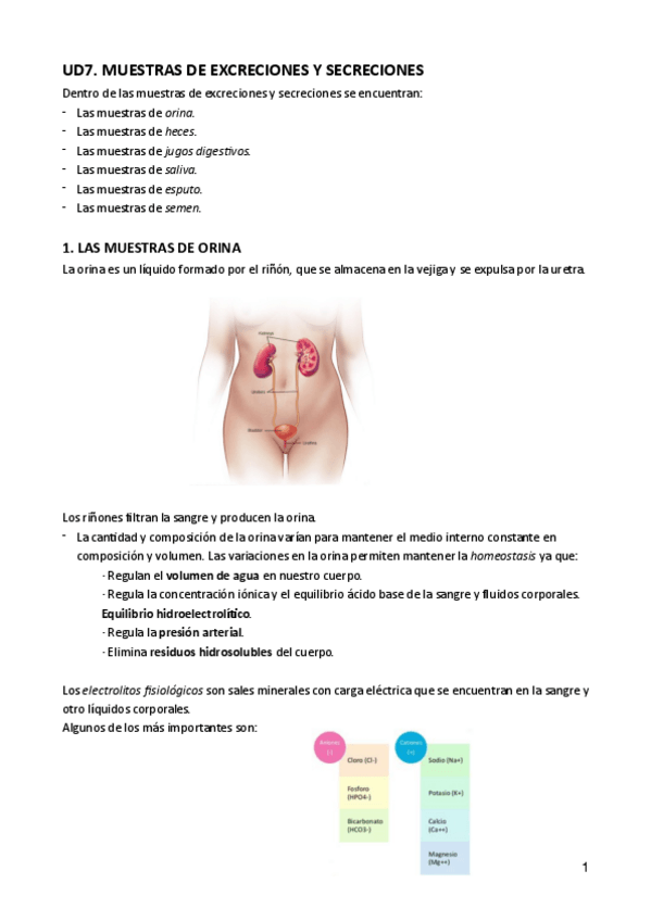 Miniatura del documento UD7-GESTION-DE-MUESTRAS-BIOLOGICAS.pdf