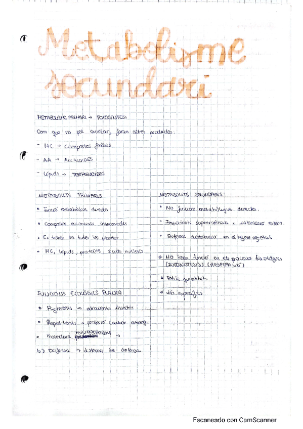 Miniatura del documento 11 apunts-metabolisme-secundari.pdf