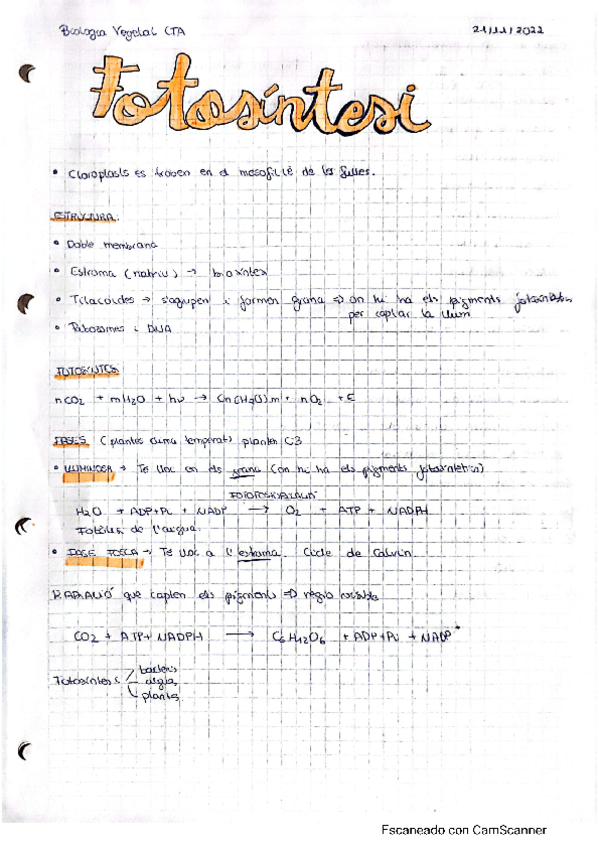 Miniatura del documento 10 apunts-fotosintesi.pdf
