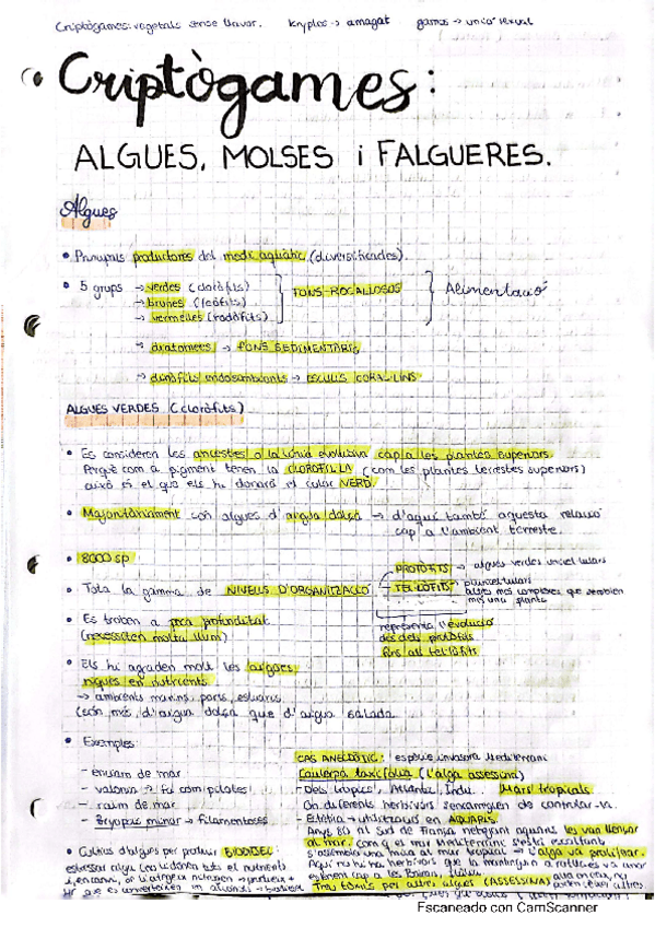 Miniatura del documento 4 apunts-criptogames-algues-molses-falgueres.pdf