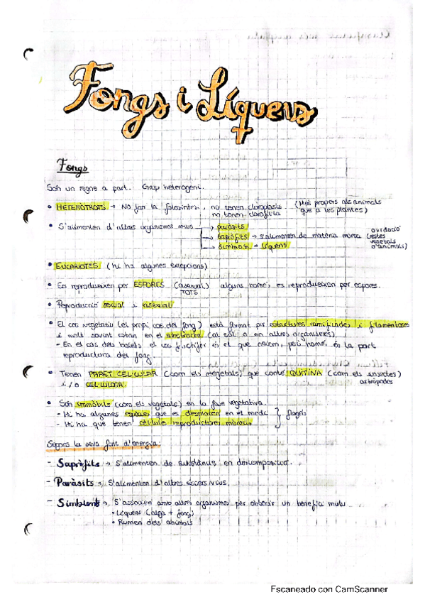 Miniatura del documento 3 apunts-fongs-i-liquens.pdf