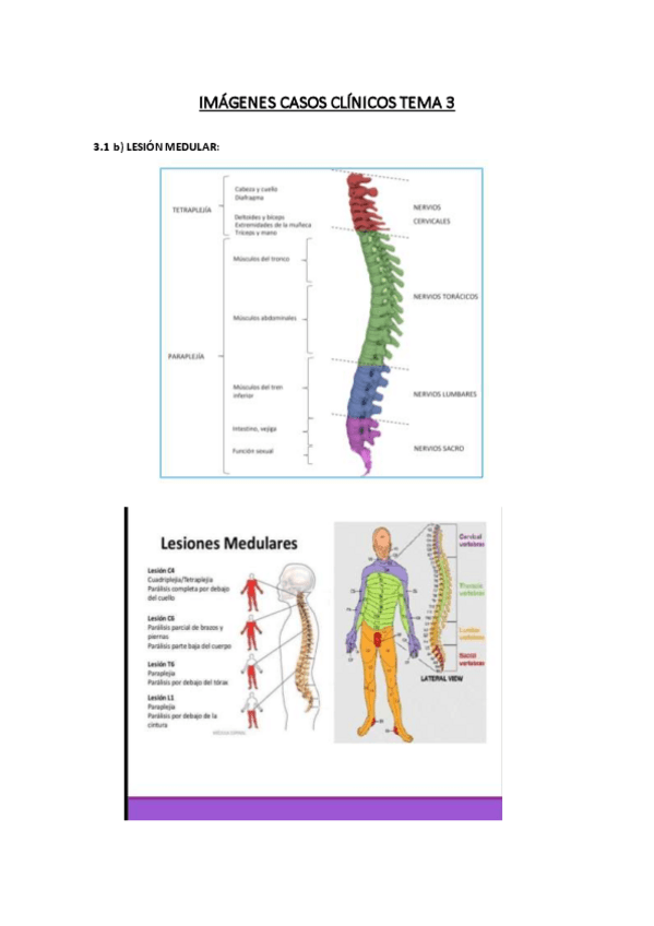 Miniatura del documento IMAGENES-CASOS-CLINICOS-TEMA-3.pdf