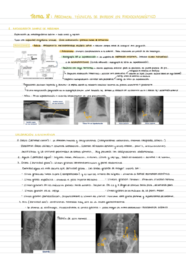 Miniatura del documento Tema-8.-Abdomen.pdf