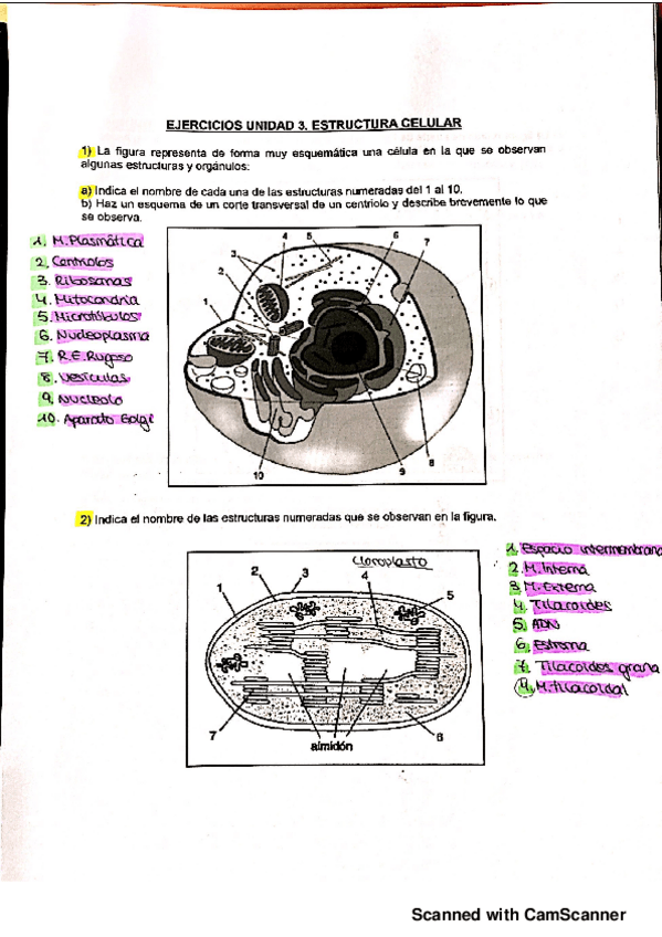 Miniatura del documento Examenes-y-tipo-test-resueltos.pdf
