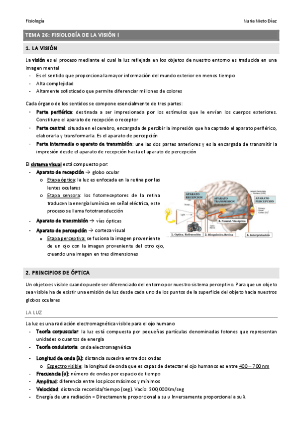 Miniatura del documento TEMA 26 - Fisiología de la visión I