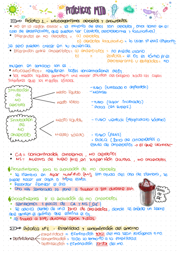 Miniatura del documento Practicas-MIO.pdf