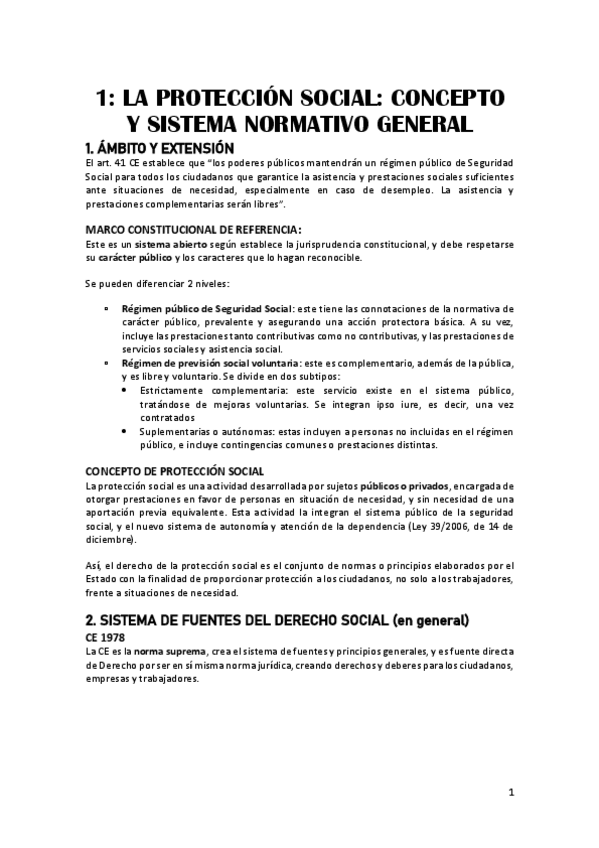 Miniatura del documento APUNTES-PROTECCION-SOCIAL.pdf
