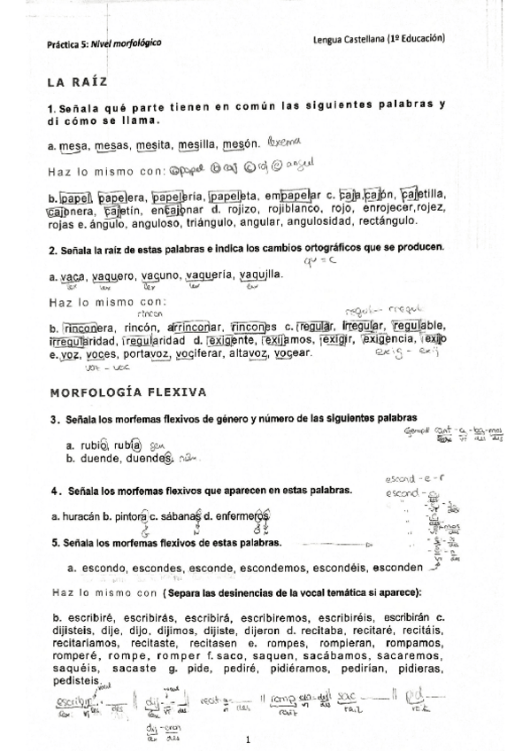 Miniatura del documento Practica-5.pdf